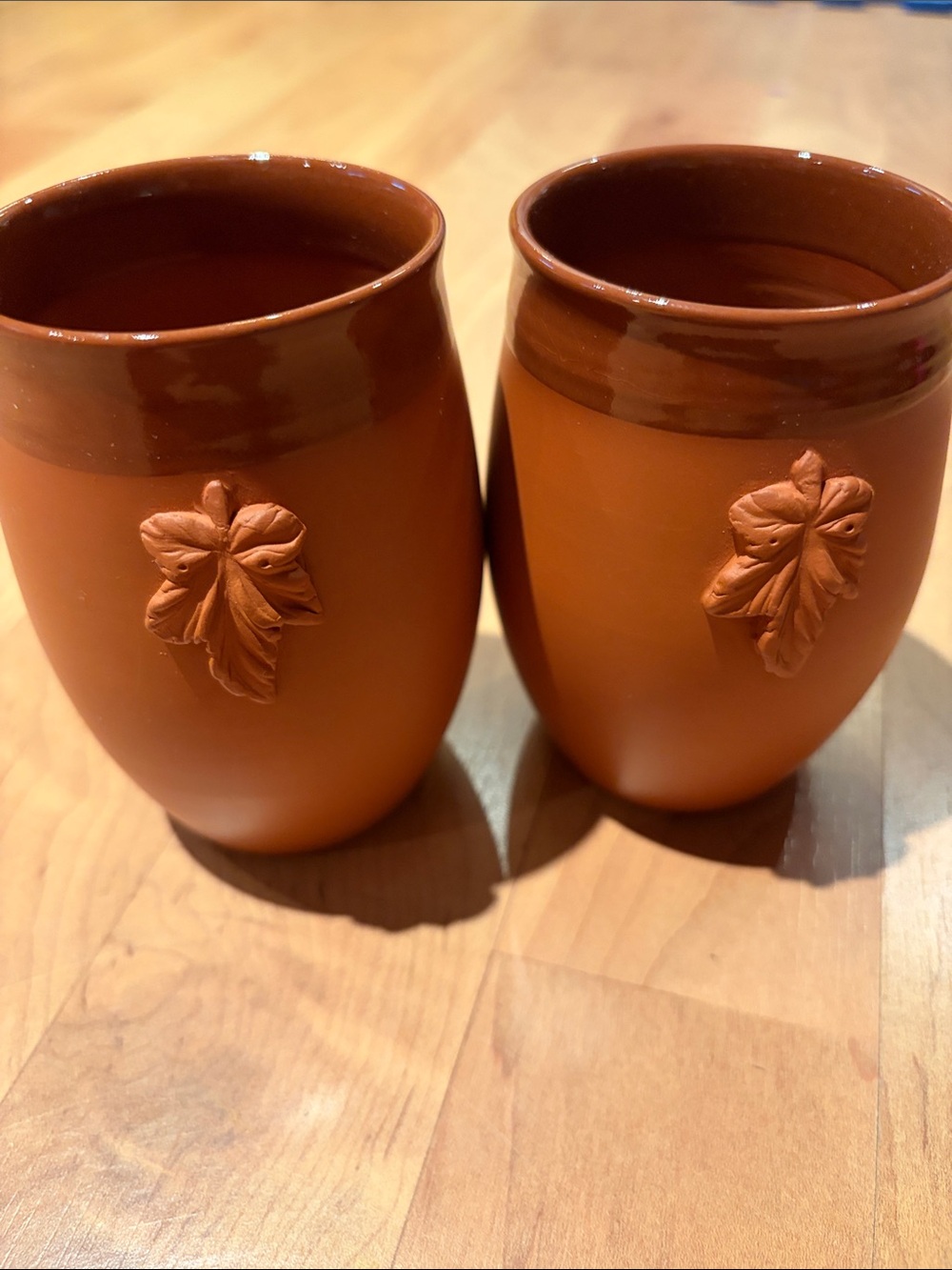 Terracotta Brown Ceramic Tumbler Pair with Leaf Relief
